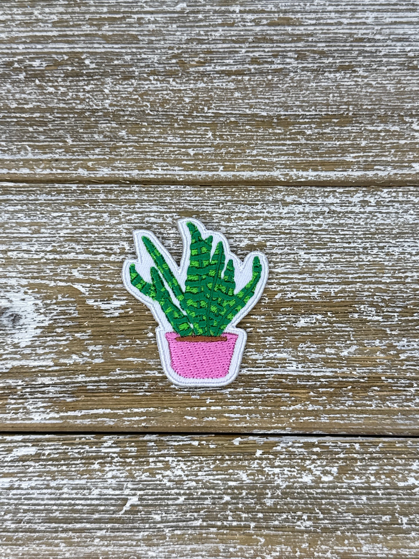 Small Plant