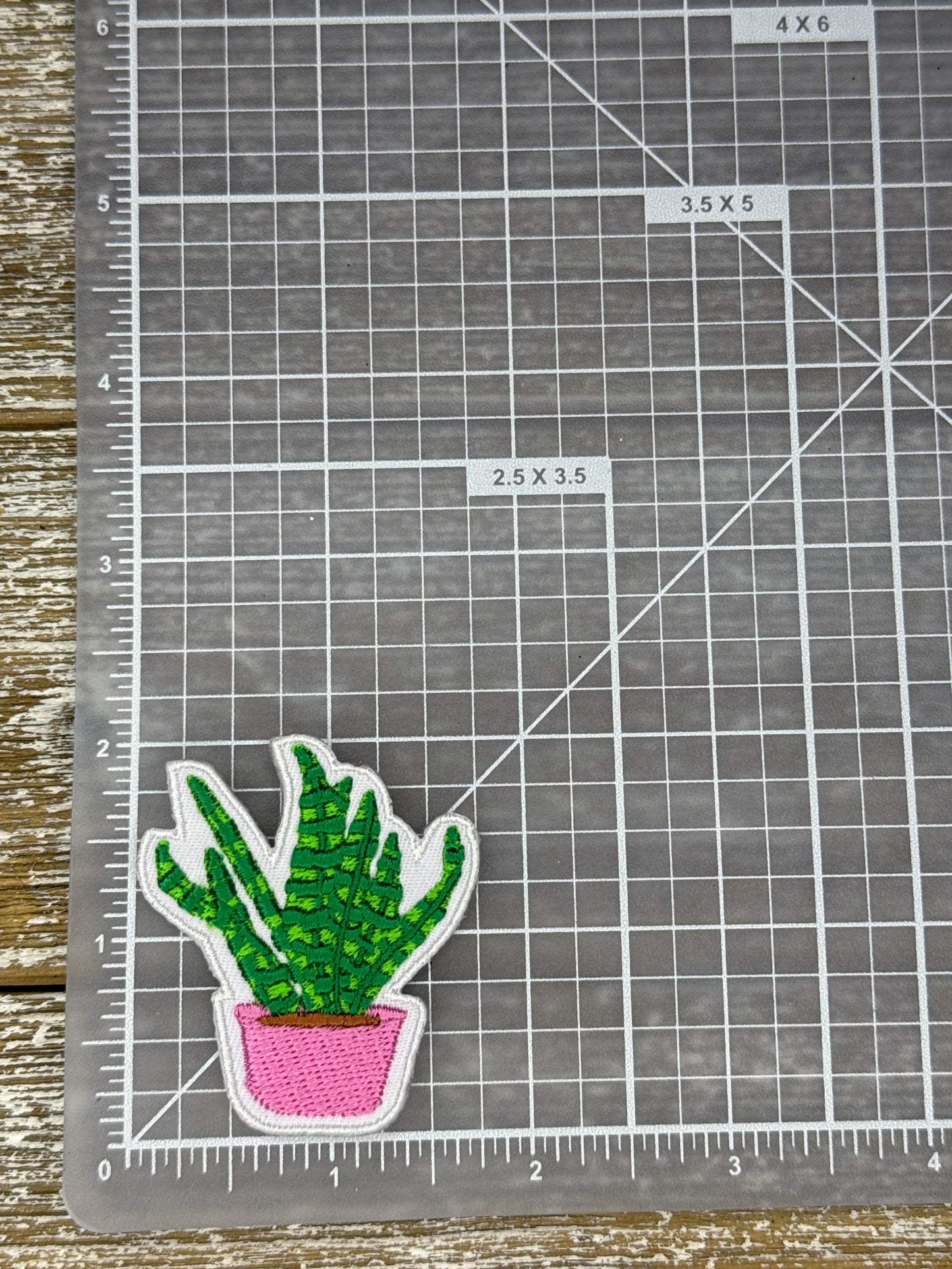 Small Plant