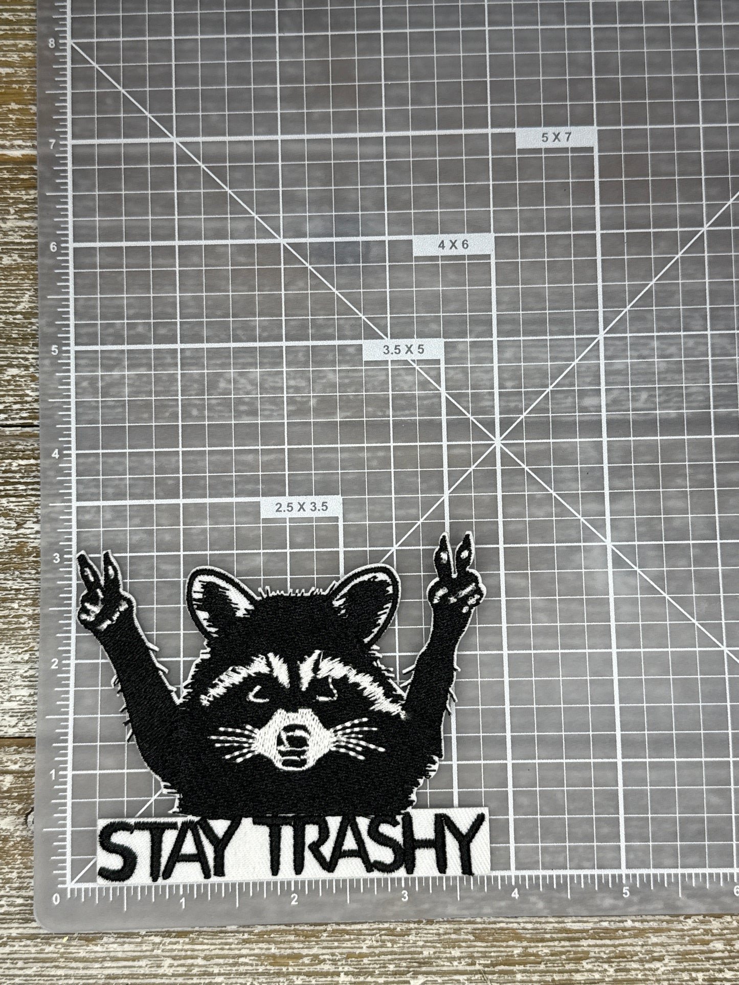 Stay Trashy Raccoon