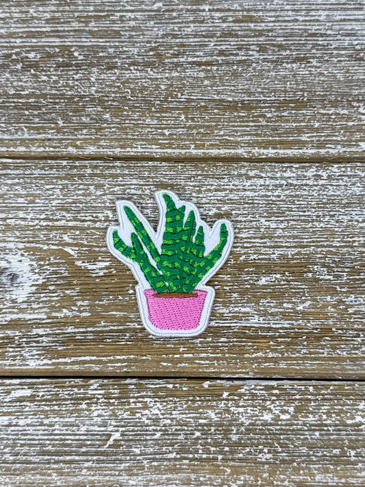 Small Plant