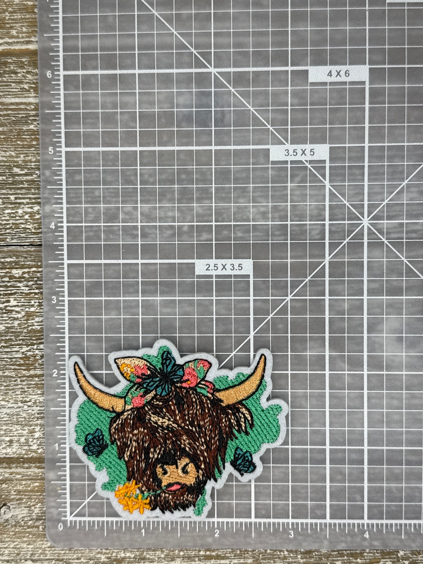 Highland Cow With Bow