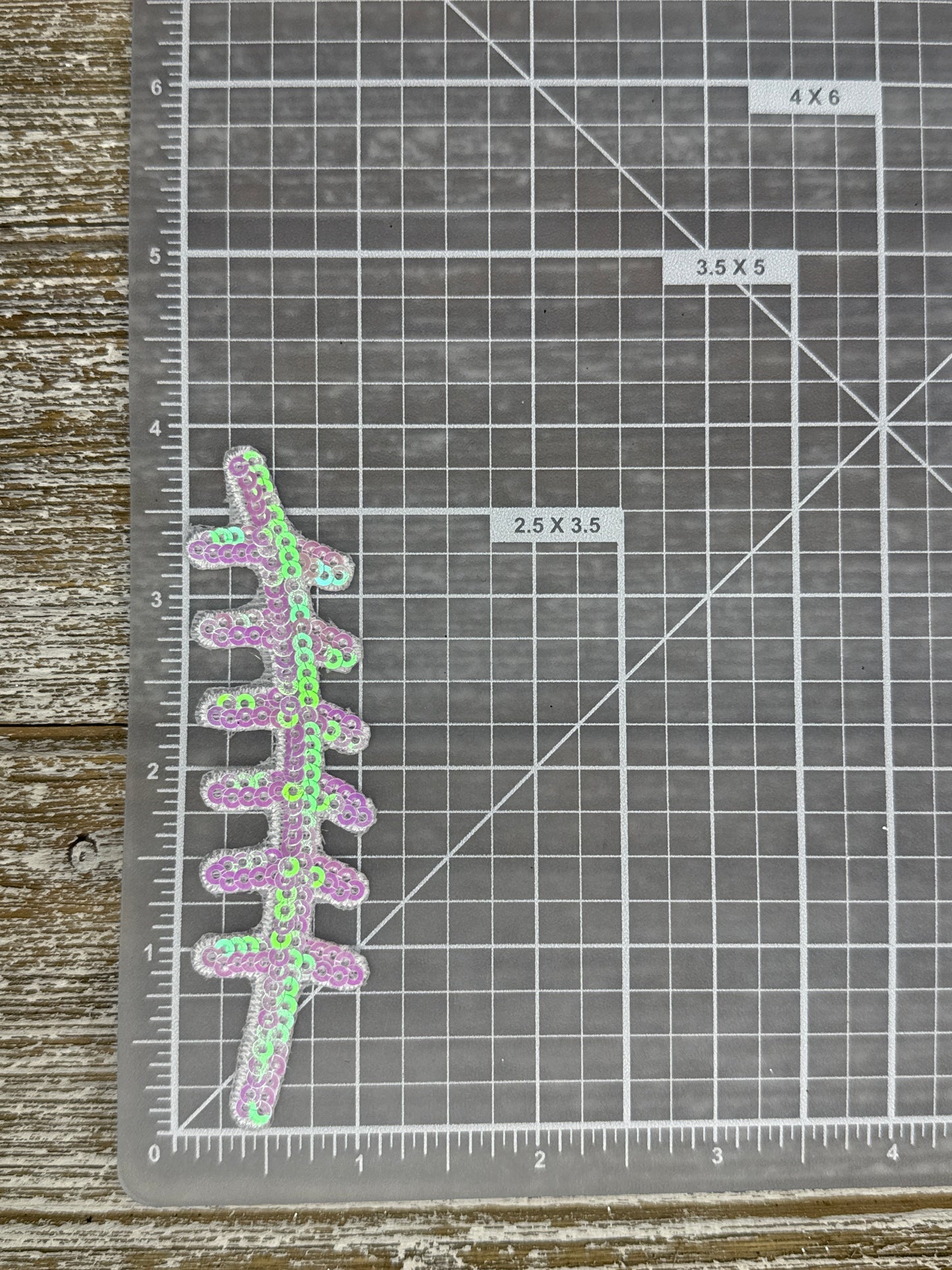 Iridescent Sequin Football Lace￼