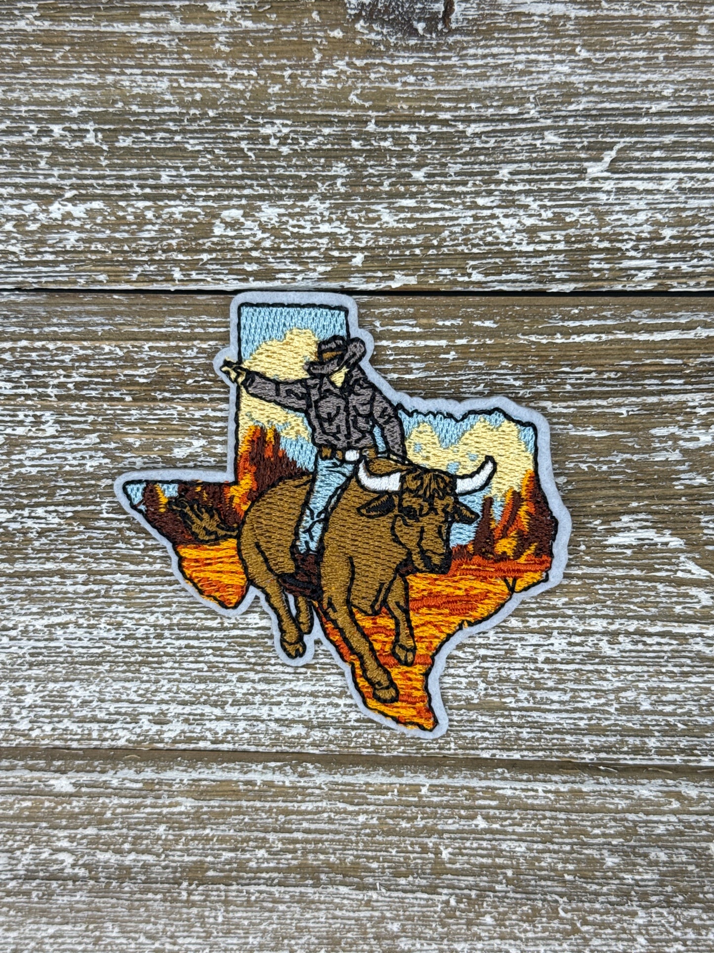 Texas Cowboy