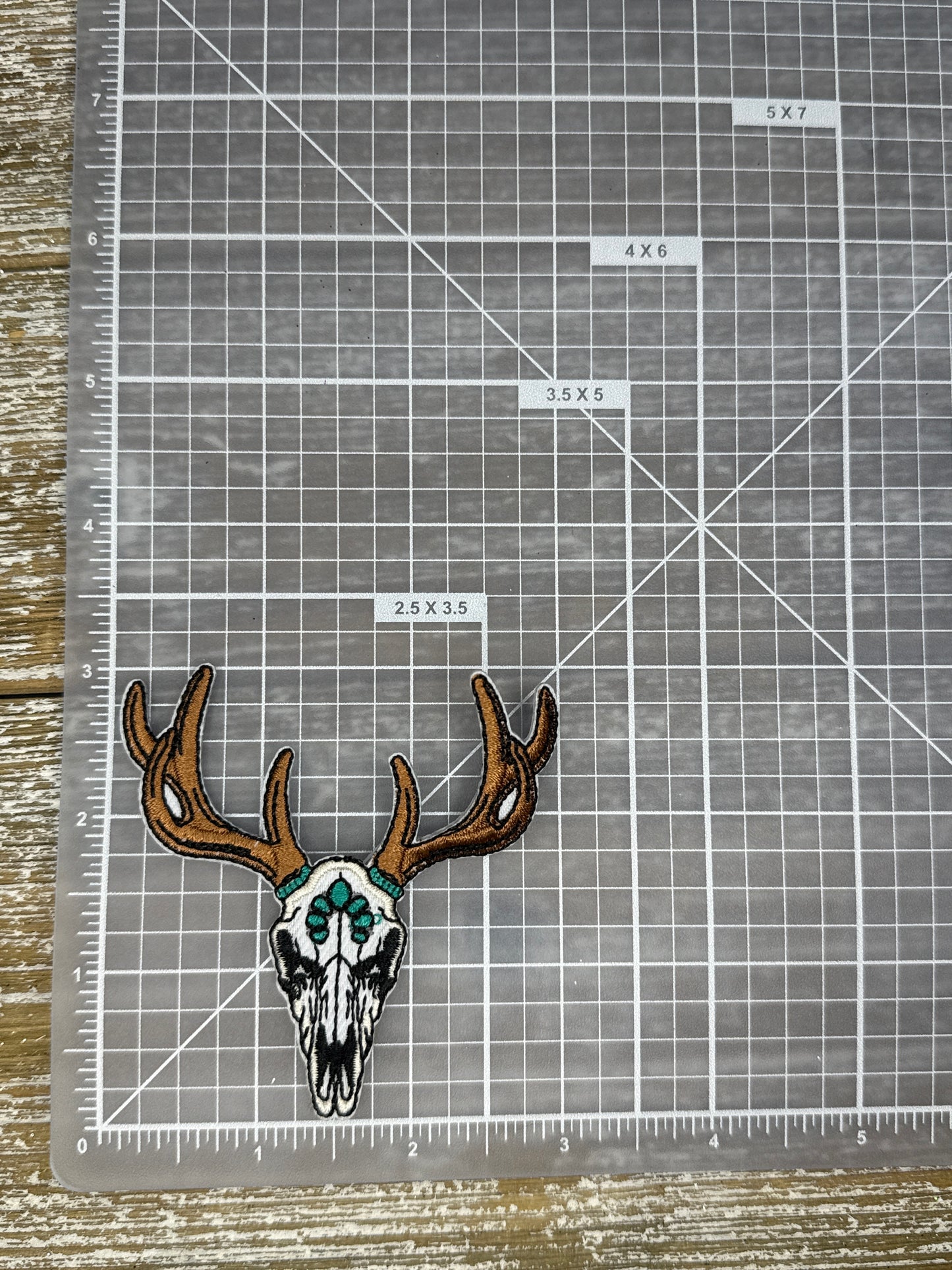 Western Skull Antlers